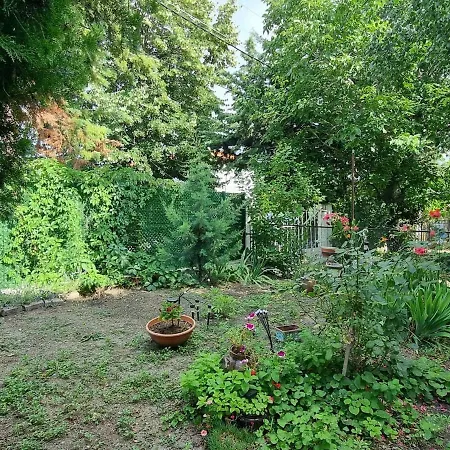 Relax & Spa-house Near Therma Numera Willa *